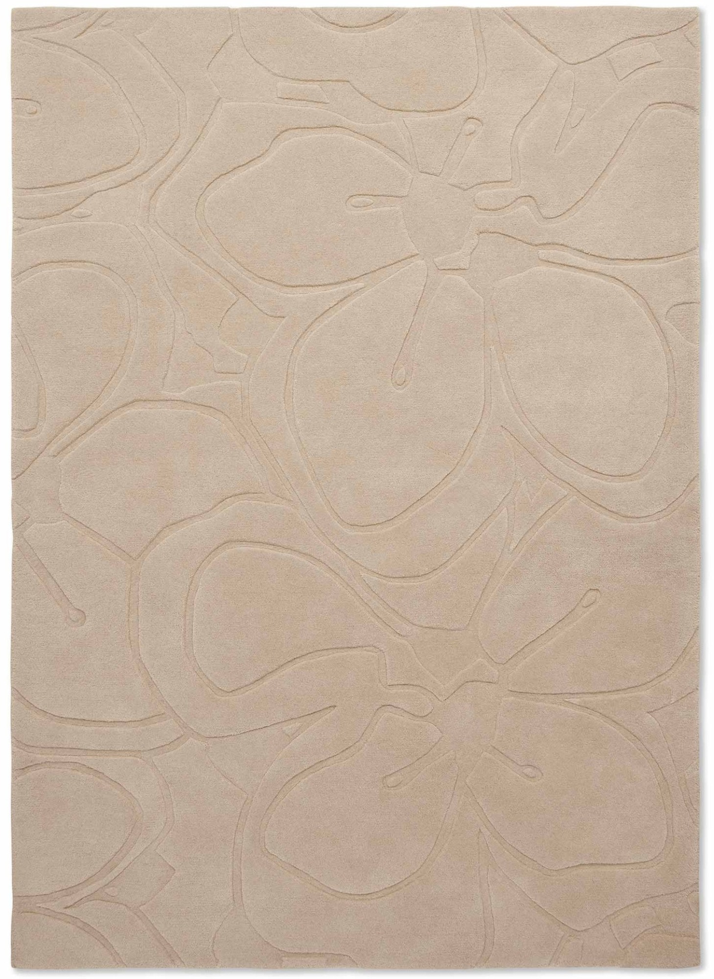 Kilimas Ted Baker Romantic Magnolia Cream 7